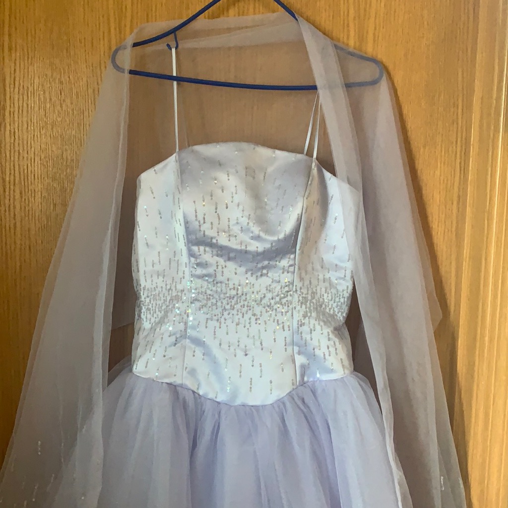 Light Purple Prom/Formal Dress By Alyce.
